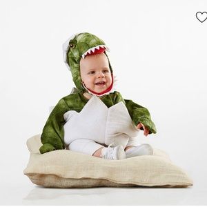 Baby Dinosaur Costume 0-6 Months